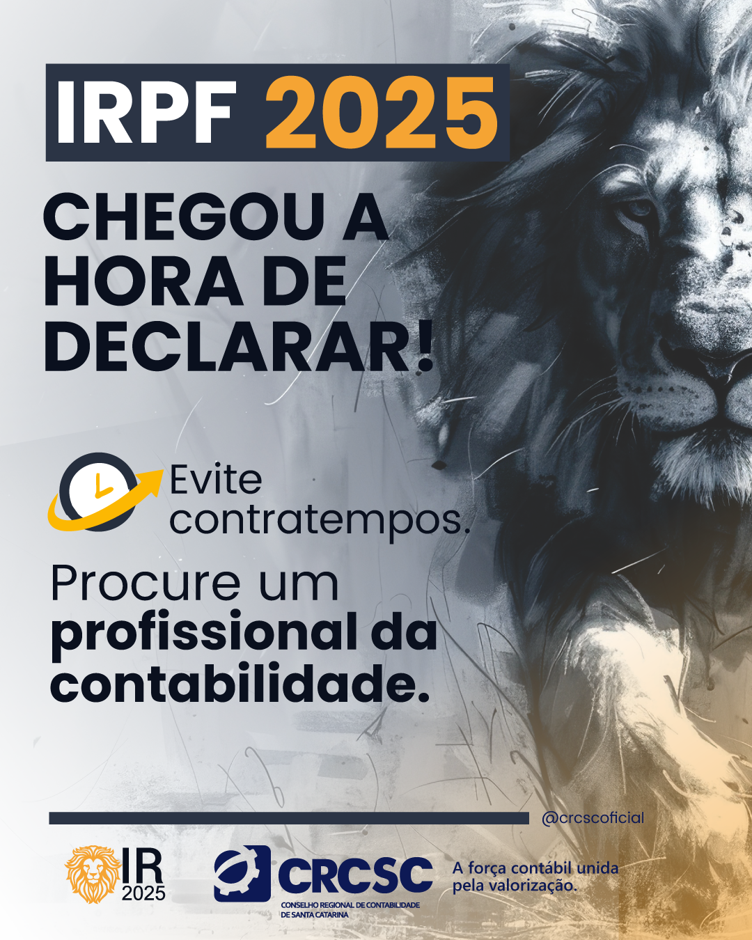 Card IR 2025 2.png